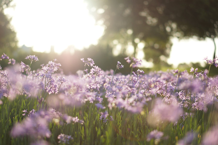 How to 'green' your workplace