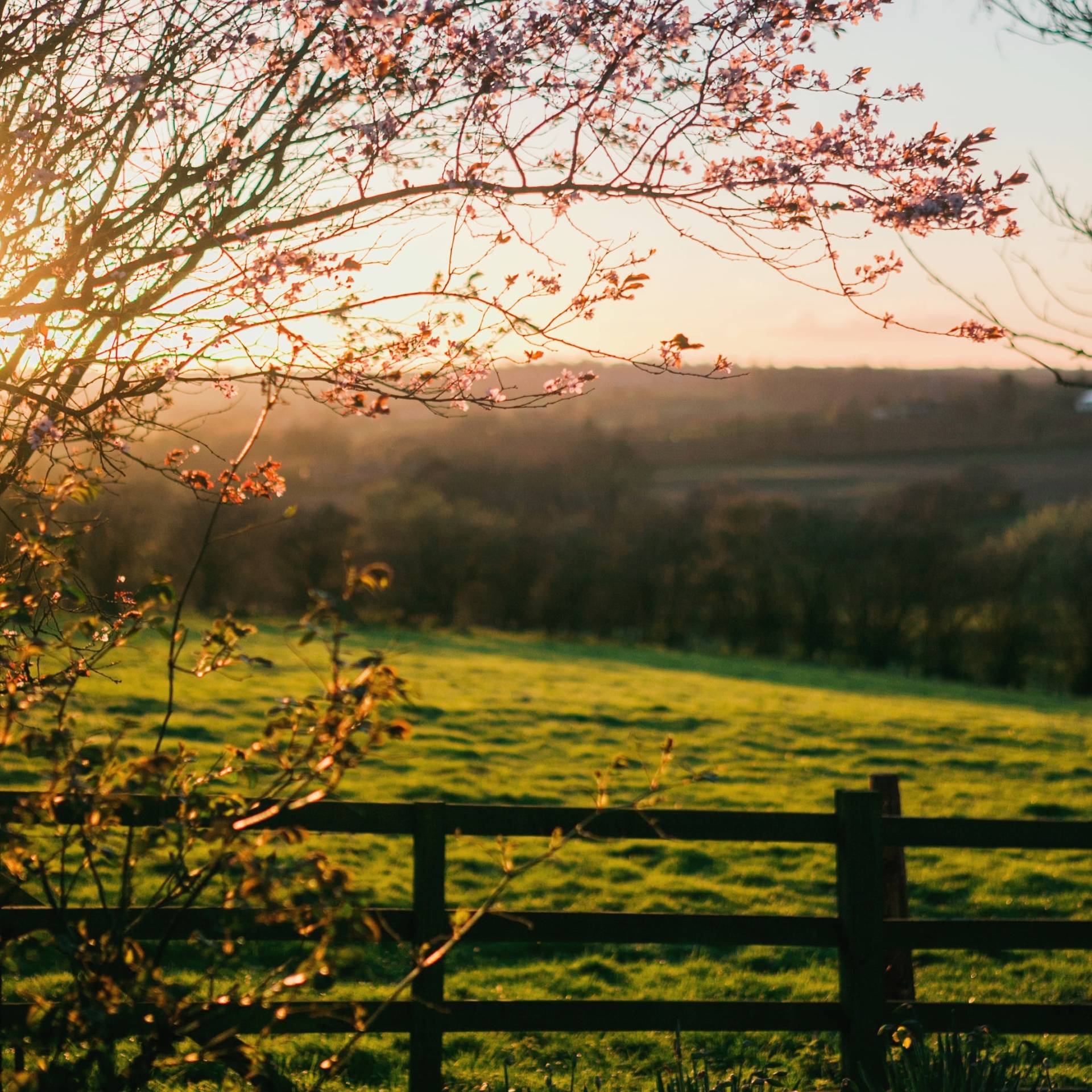 British nature countryside