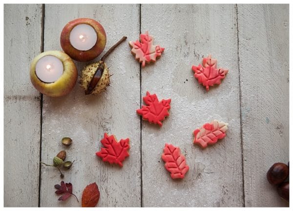 Autumn Leaf Biscuits