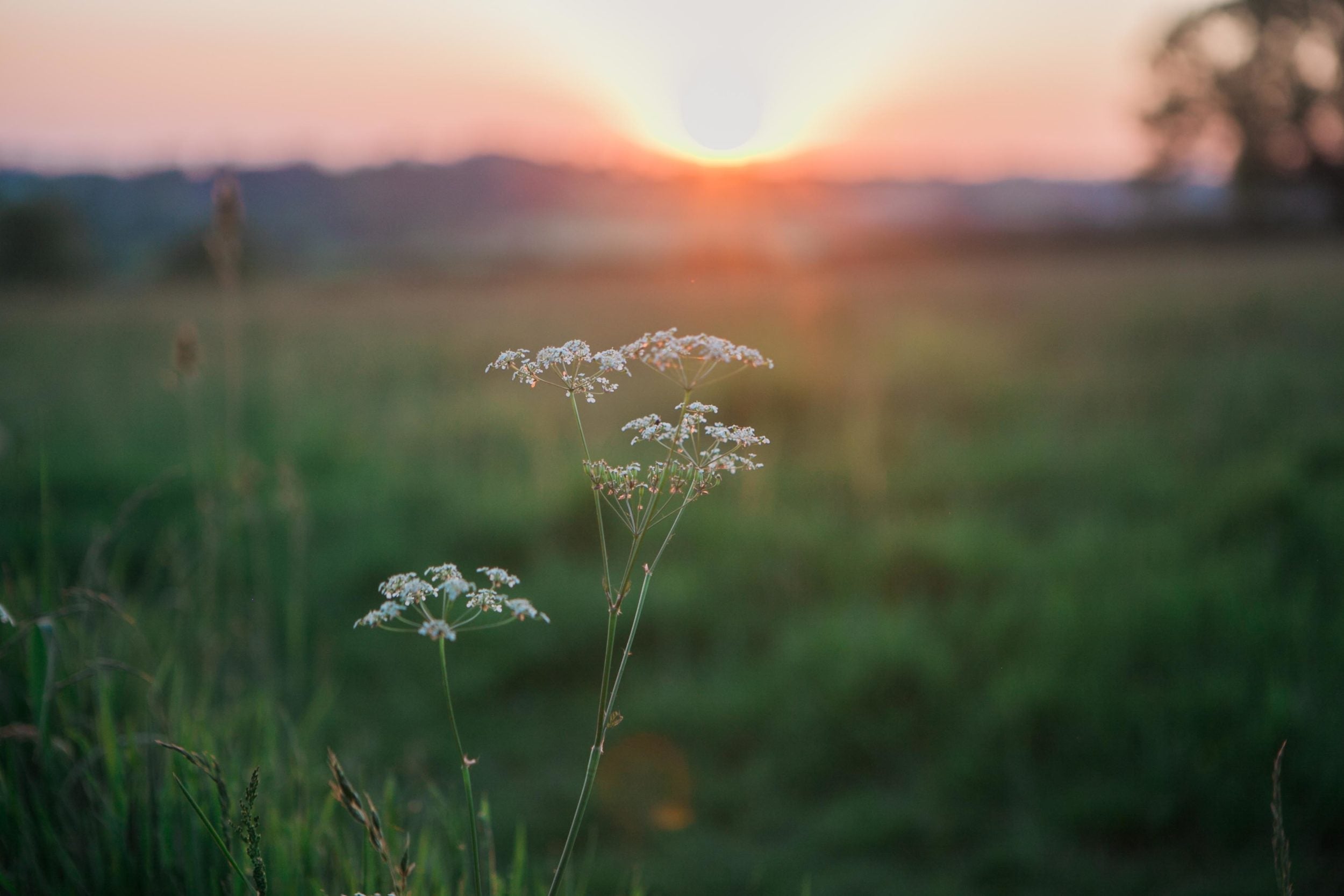 Our B Corp Journey [How We’re Changing for Good]