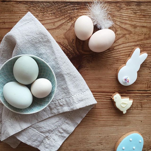 Fresh Eggs