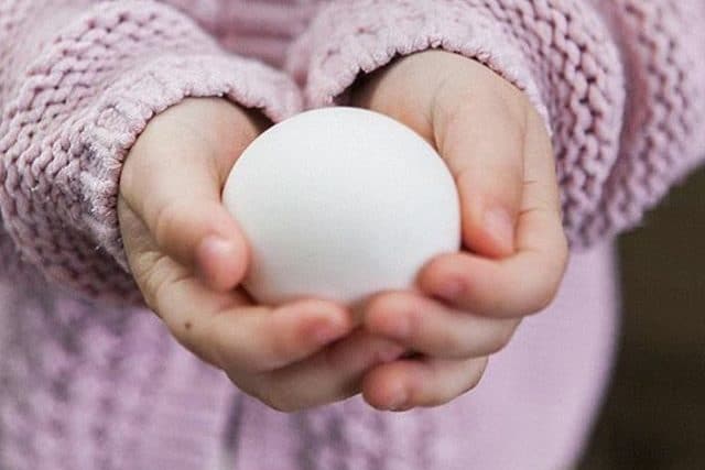 F r e s h Our chickens struggle to lay enough eggs for ALL the biscuits these days, but all of the eggs we use are from local hens.