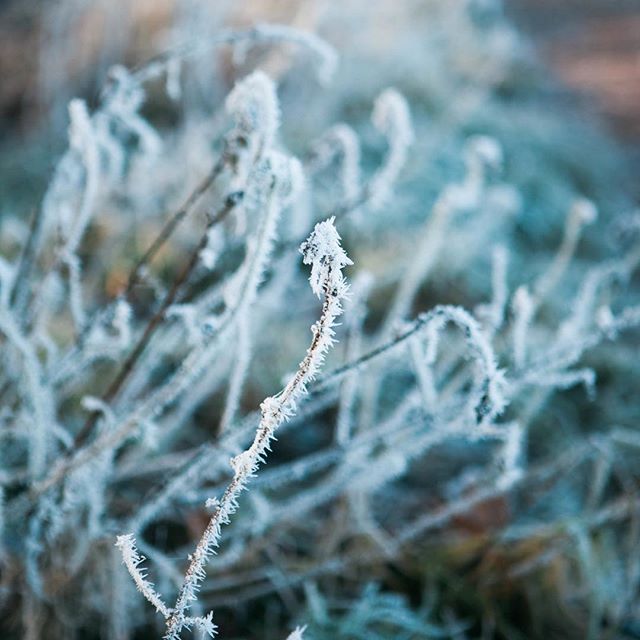 S n o w Hoping this snow settles ️ Or that we at least get a good frost tomorrow! Happy that it's Friday and half term. Have a great weekend!