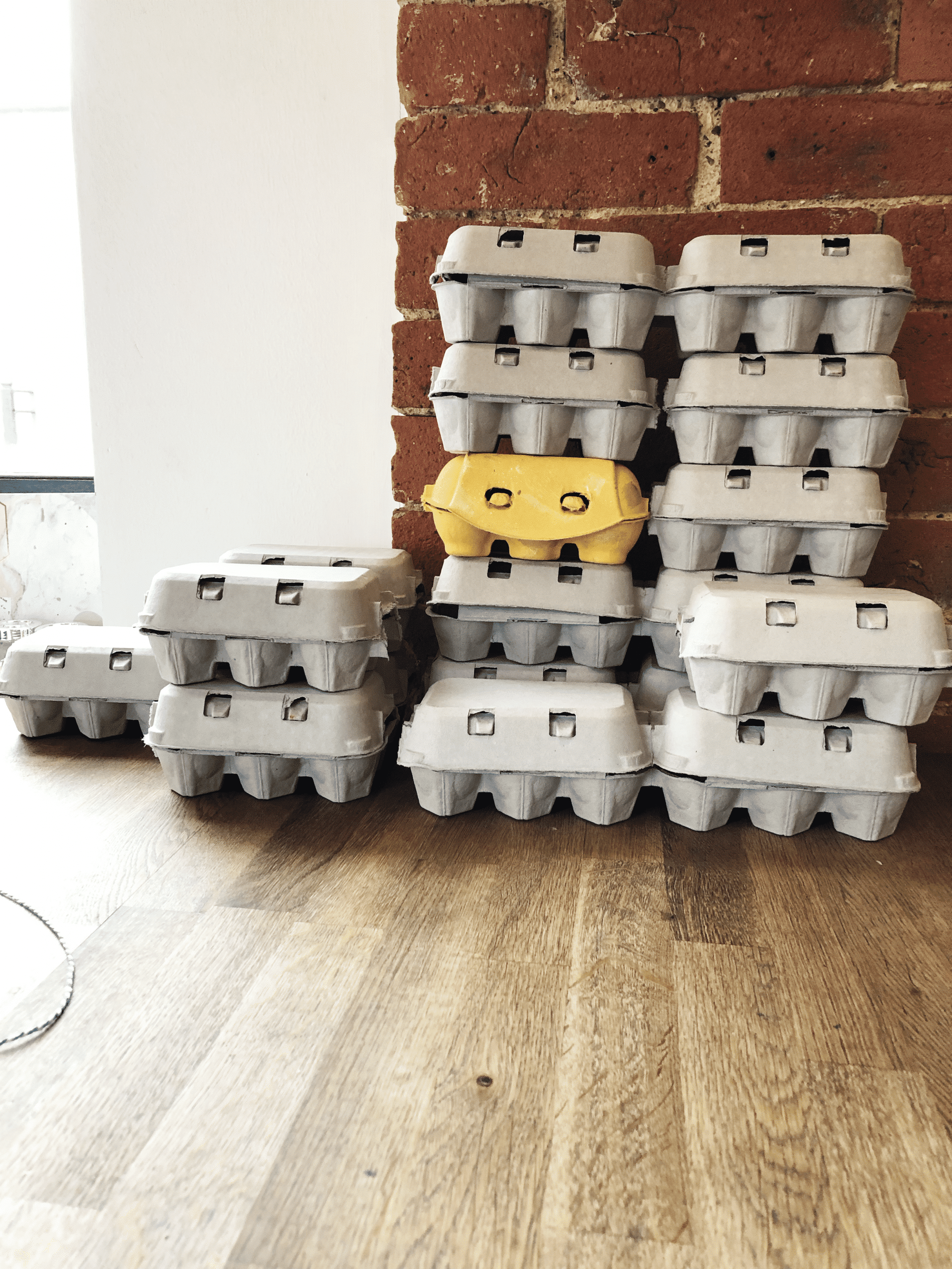 Can you Find the Golden Egg Box?