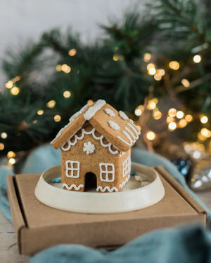 Honeywell Bakes DIY Tiny Gingerbread House Kit - biscuit gingerbread house on a plate with  festive background