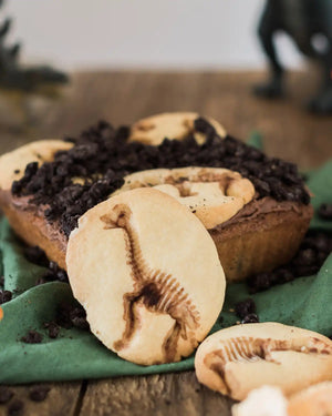 Honeywell Bakes Dinosaur Fossil Baking Kit - Cookies with dinosaur fossil design on a green napkin