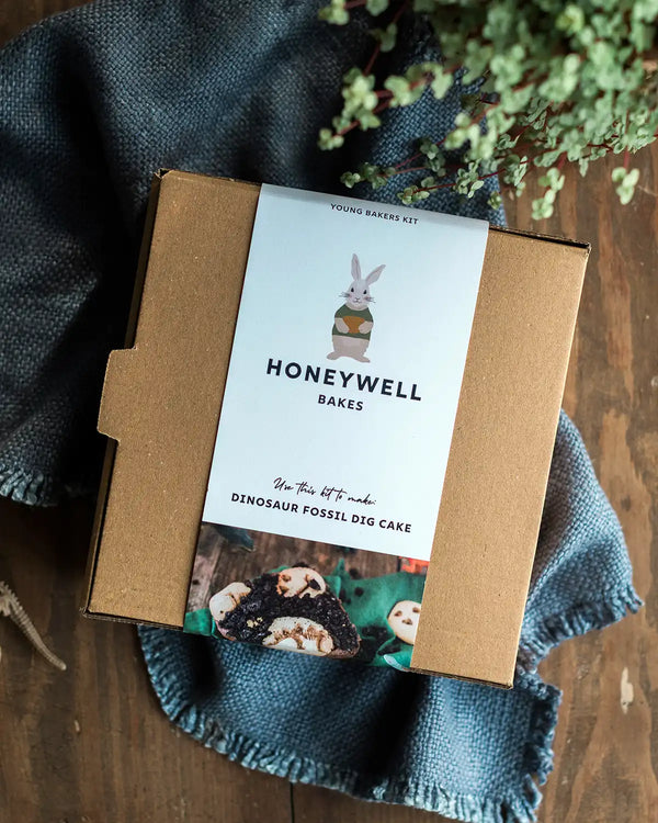 Honeywell Bakes Dinosaur Fossil Baking Kit - baking kit packaging on a textured surface with a plant in the background