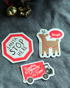 Cute Christmas Pudding Cookie Kit