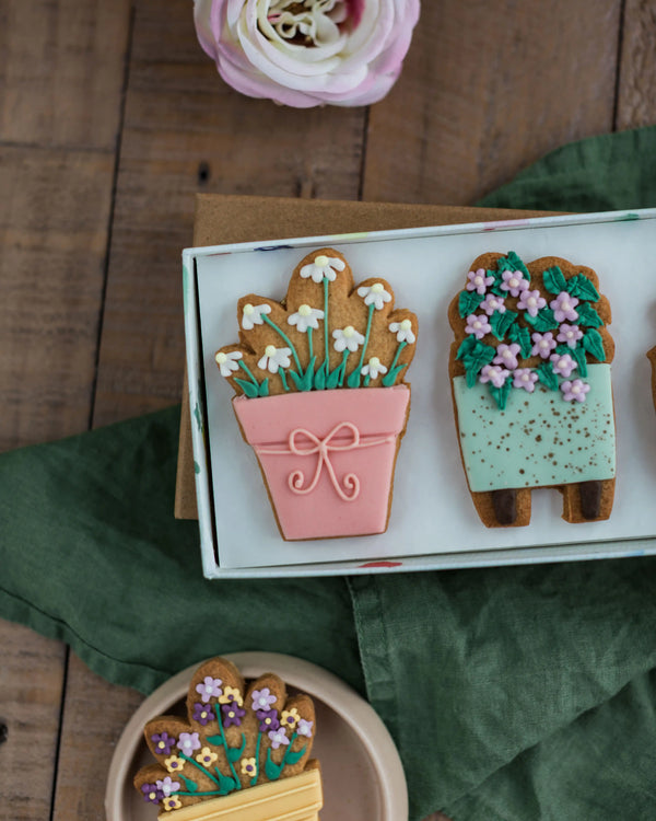 Honeywell Bakes House Plant Biscuit Gift Set - Decorative cookies shaped like potted plants on a wooden surface with a green napkin.