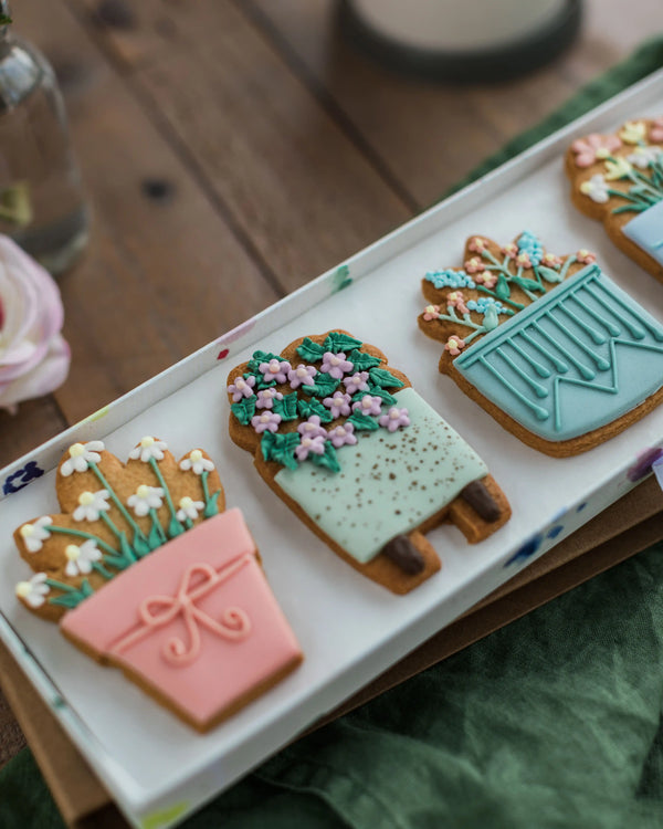 Honeywell Bakes House Plant Biscuit Gift Set - Decorative cookies shaped like potted plants on a white tray with a wooden surface in the background.
