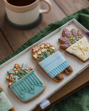 Honeywell Bakes House Plant Biscuit Gift Set - Decorative cookies shaped like potted plants and a gift on a tray with a cup of coffee in the background.