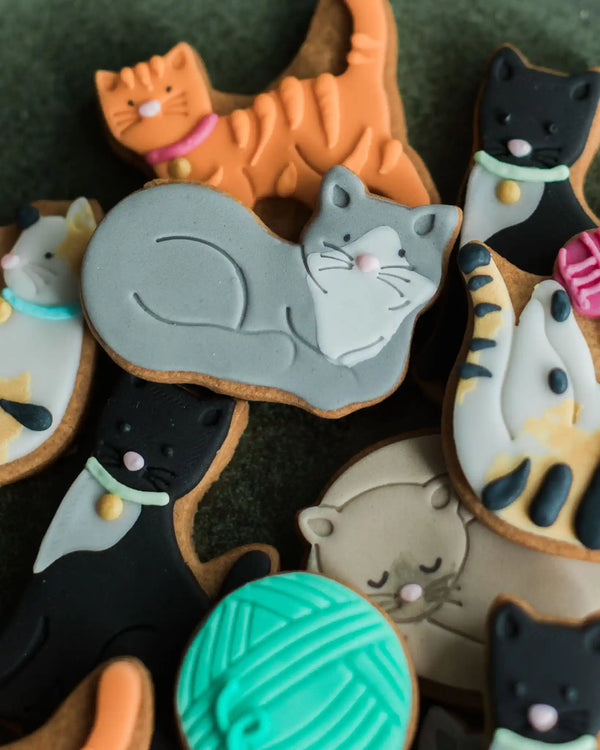 A jar filled with cute cat-shaped biscuits, making a playful personalised gift for someone who loves cats.