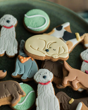 Jars of dog-shaped biscuits with personalised labels, offering thoughtful and unique gifts for dog lovers.