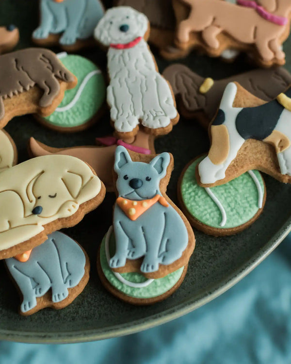 Close-up of adorable dog-shaped biscuits in a jar, a fun treat for dog lovers and fans of novelty biscuits.