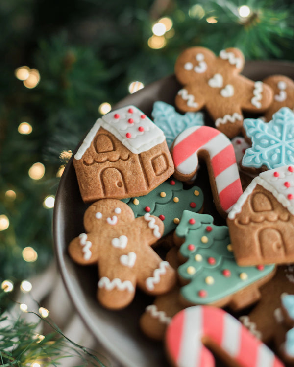 Honeywell Bakes Jar of Gingerbread Men Biscuits - A close-up of decorated gingerbread cookies shaped like houses, gingerbread men, candy canes, and Christmas trees in a bowl, with blurred green tree branches and warm string lights in the background.