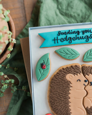 Honeywell Bakes Large Hedgehugs Biscuit Gift - Hedgehog biscuit design and 'Sending you Hedgehugs' text on a green background