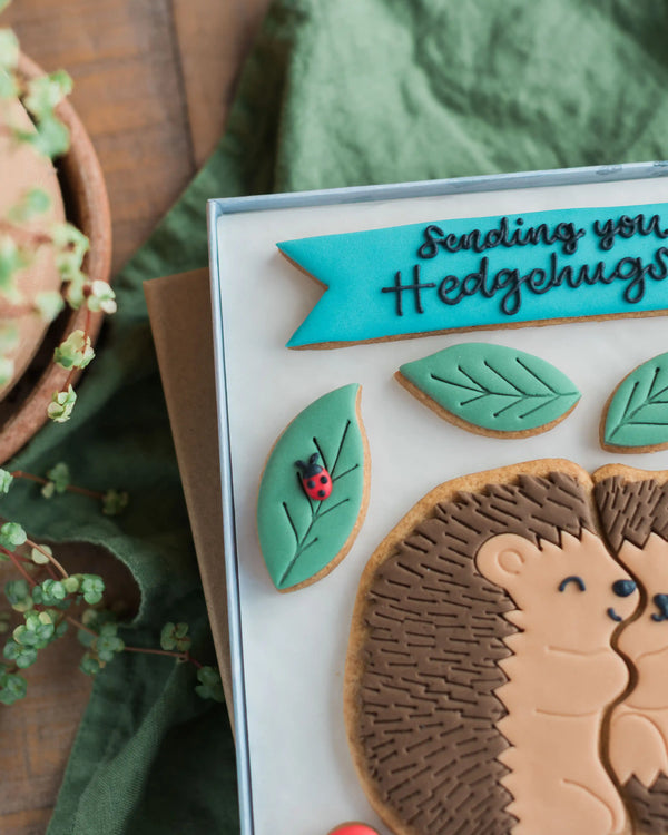 Honeywell Bakes Large Hedgehugs Biscuit Gift - Hedgehog biscuit design and 'Sending you Hedgehugs' text on a green background