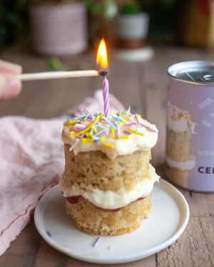 Honeywell Bakes Mini Celebration Cake Kit - Small layered cake with a lit candle on a white plate, with can packaging in the background.