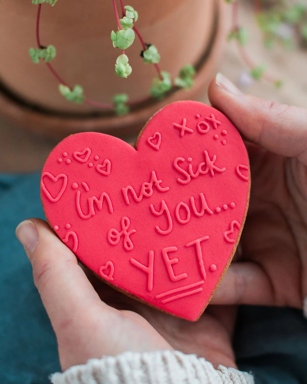 Honeywell Bakes Not Sick Of You Yet Biscuit - large heart shaped biscuit with hearts and ‘I’m not sick of you yet.’ text
