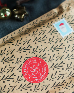 Cute Christmas Pudding Cookie Kit