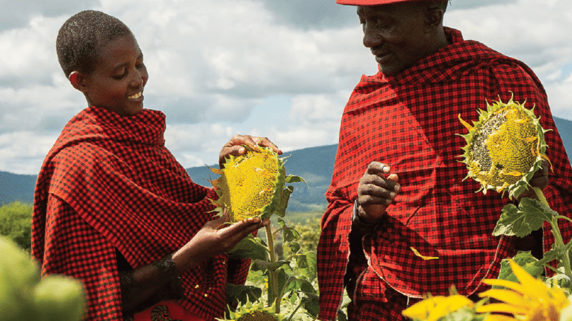 Two people in red traditional clothing holding sunflowers in a field.