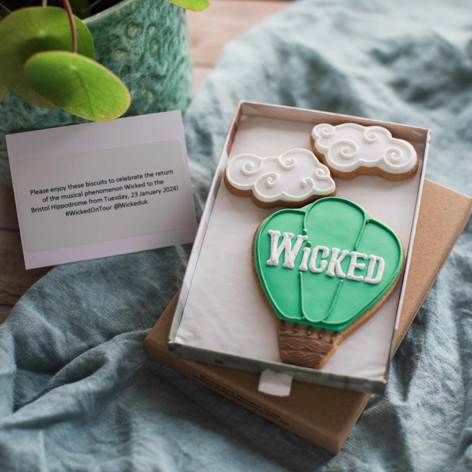 Box of cookies shaped like hot air balloons with 'Wicked' branding on a textured surface.