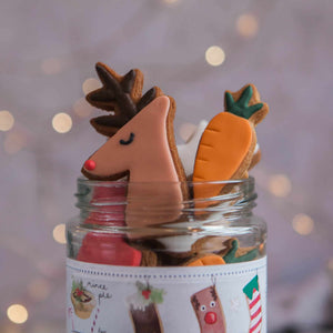 Christmas Biscuits In A Jar